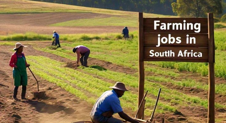 Multiple Farming Jobs in Africa 2024