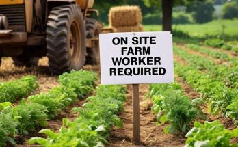 On Site Farm worker Required In Nigeria 2024