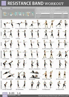 resistance bands exercises guide